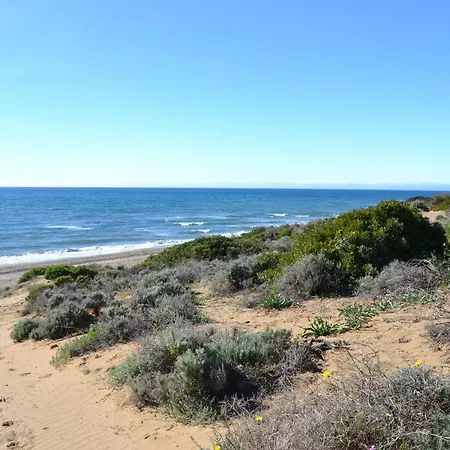 Luxury Garden - Walking Distance To The Sea *